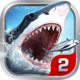 威斯尼斯人wns2233cn